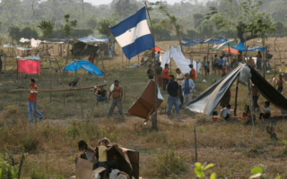 Pérdidas de L60 mil millones dejan las invasiones de tierras en Honduras