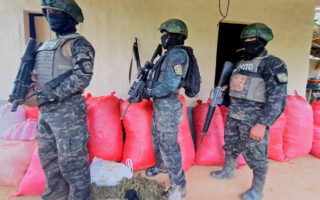 Decomisan plantación y sacos de droga en Olancho