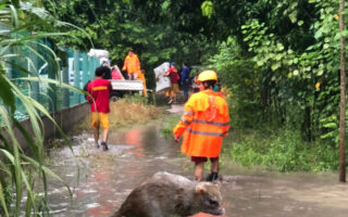 Autoridades sanitarias emiten alerta por leptospirosis tras inundaciones en Honduras