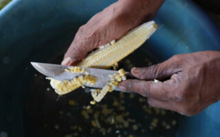 Conciencia y prácticas ancestrales, claves ante la crisis alimentaria en el triángulo norte