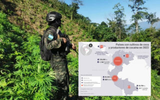 Honduras es productor industrial de cocaína, señala Insight Crime: gobierno culpa a la “narcodictadura”