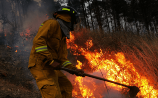 Honduras, que registró 3.052 incendios forestales en 2023, lanza una campaña preventiva