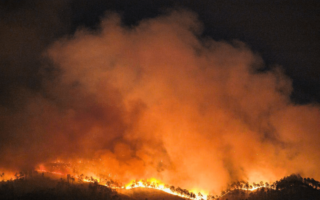 Honduras registra este año más de 4.800 hectáreas afectadas por 146 incendios forestales