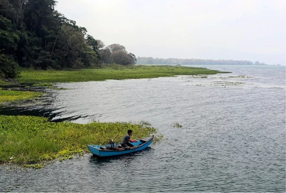 La deforestación incontrolada, las prácticas agrícolas perjudiciales, la sobreexplotación y la contaminación por minería, amenazan el Lago de Yojoa, uno de los principales sitios turísticos que Honduras busca recuperar con apoyo de la Unión Europea y sus Estados miembros (Alemania, España y Francia).