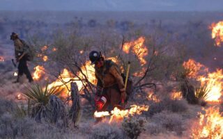 Fuertes incendios forestales mantienen en alerta a Nuevo México y California