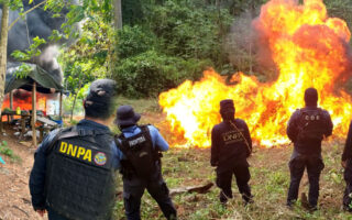 Queman 80,000 arbustos de coca y laboratorio en Honduras