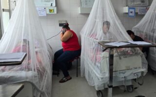 Honduras en Crisis: Aumento Alarma en Casos de Dengue