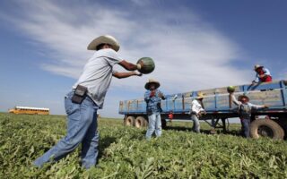 «Indocumentados tienen derechos laborales en EEUU»