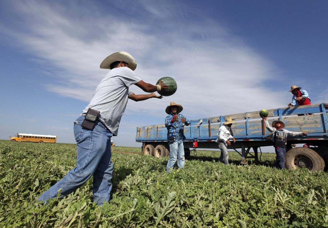 Trabajadores en Estados Unidos también tiene derechos