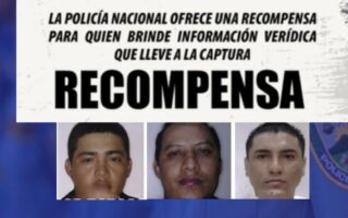 Policía ofrece recompensa por desapariciones en Baracoa y un caso en San Pedro Sula (video)