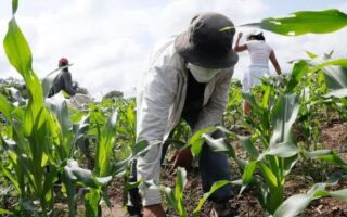 Cohep insta a fortalecer producción nacional y sector agro en Honduras