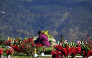 Honduras contabilizó 121 mujeres asesinadas en 2024