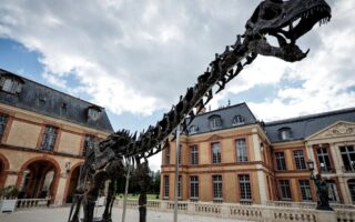 Francia subastará fósil del dinosaurio más grande de la historia