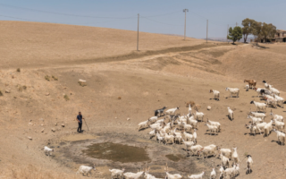 Habitantes de Sicilia reclaman al grito de «queremos agua»