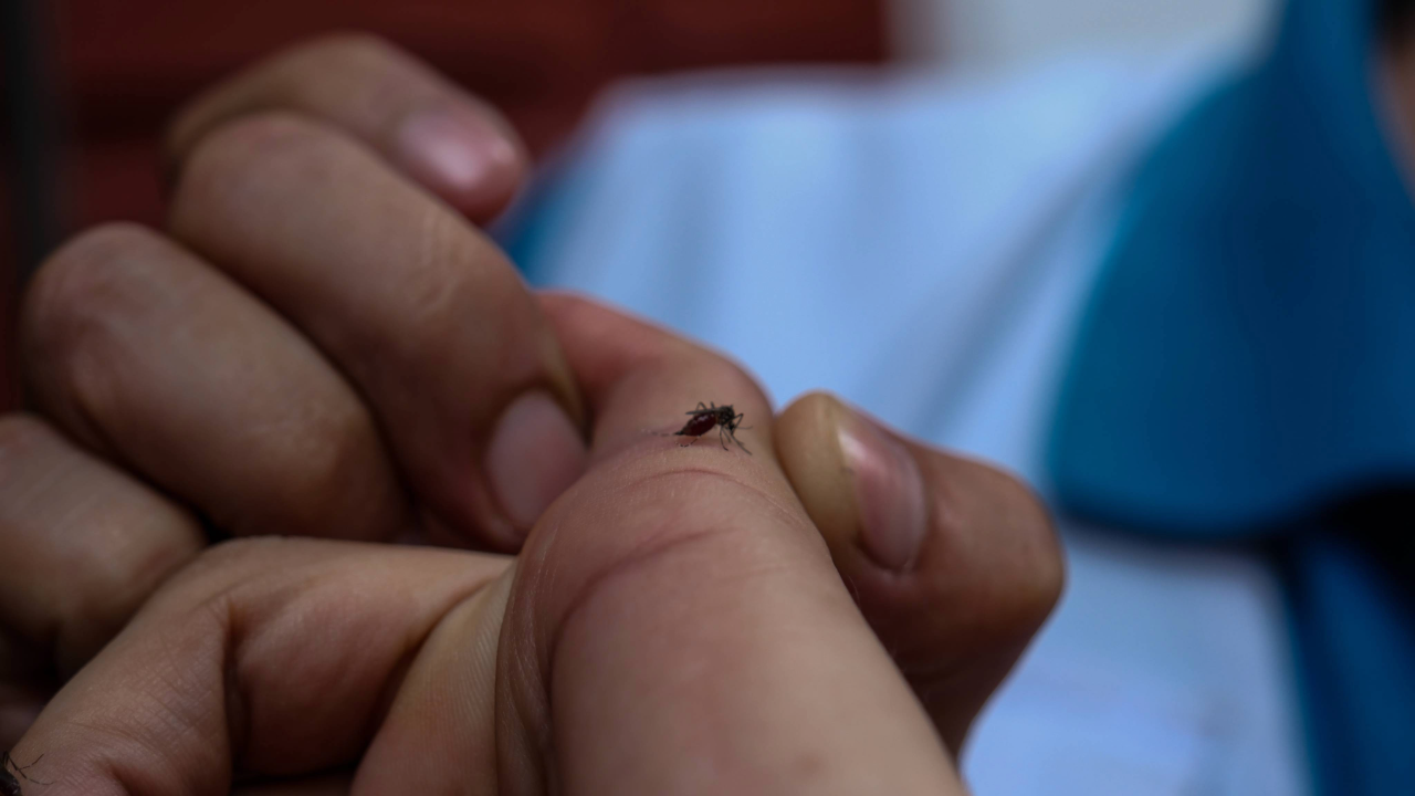 Dengue en Honduras