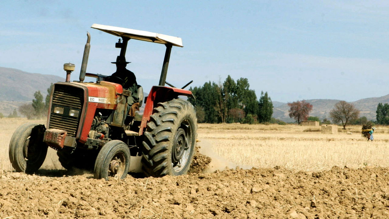 El plan de la FAO prevé el suministro de semillas resistentes al estrés "para estimular la producción alimentaria local, un apoyo a la salud animal y alimentos para los ganaderos", subrayó Burgeon