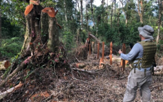 MP presenta requerimiento contra empresario por daños ambientales en Parque Carlos Escalera