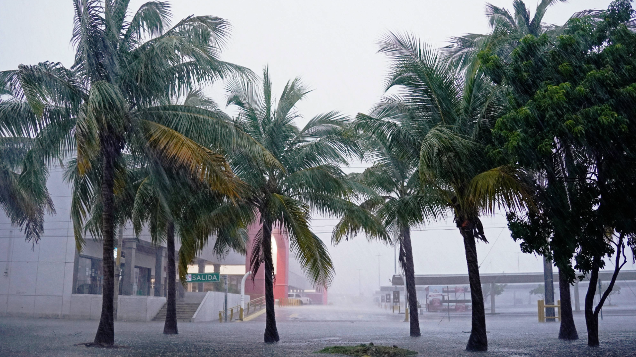 Tormenta Florida