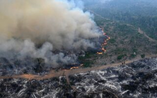 Deforestación en Amazonía arrasó área similar a Colombia en 40 años