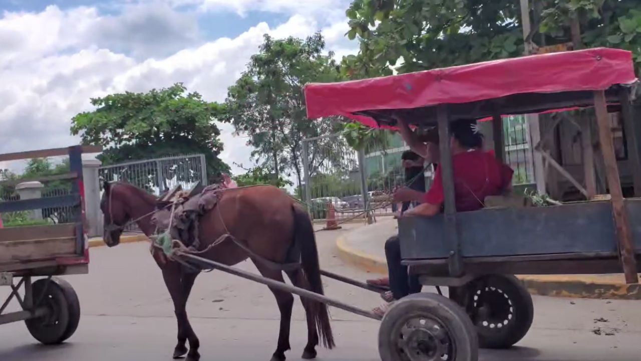 Carreteros de San Pedro Sula buscan justicia en juzgado