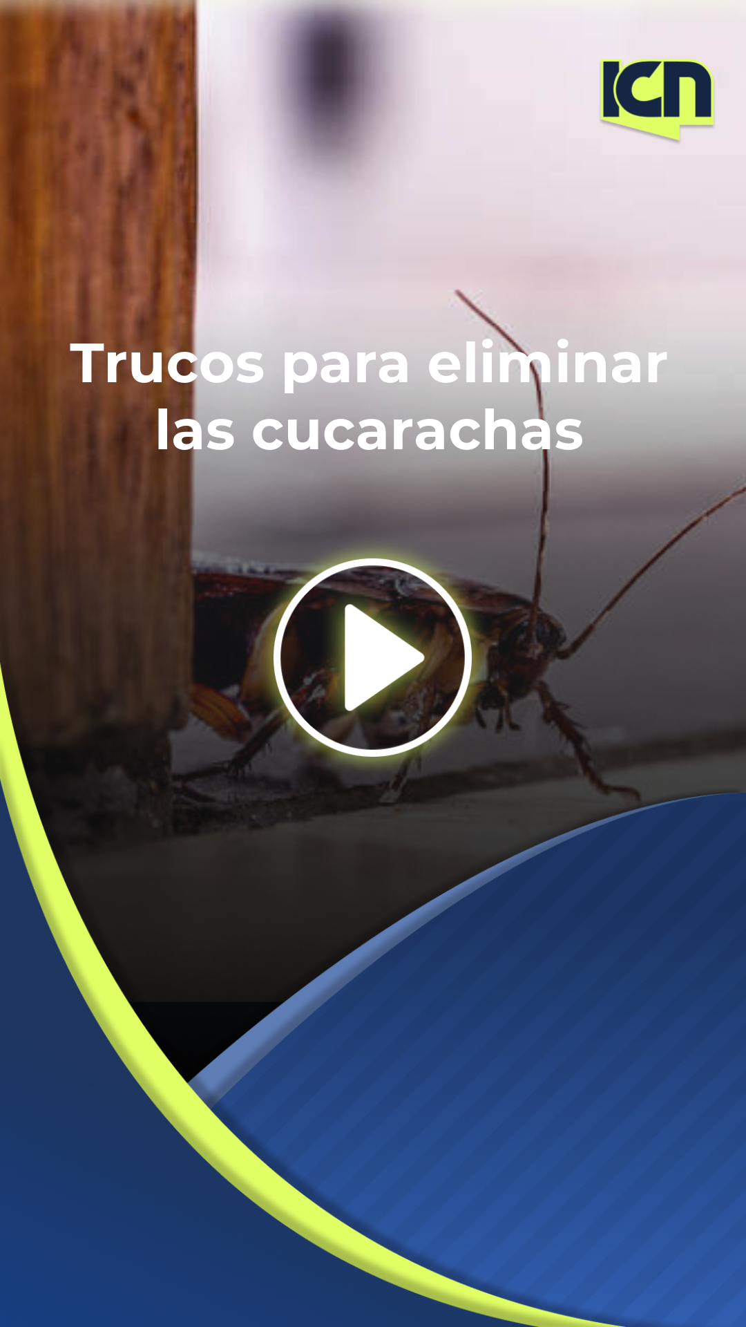 Tres trucos caseros para eliminar las cucarachas de manera efectiva