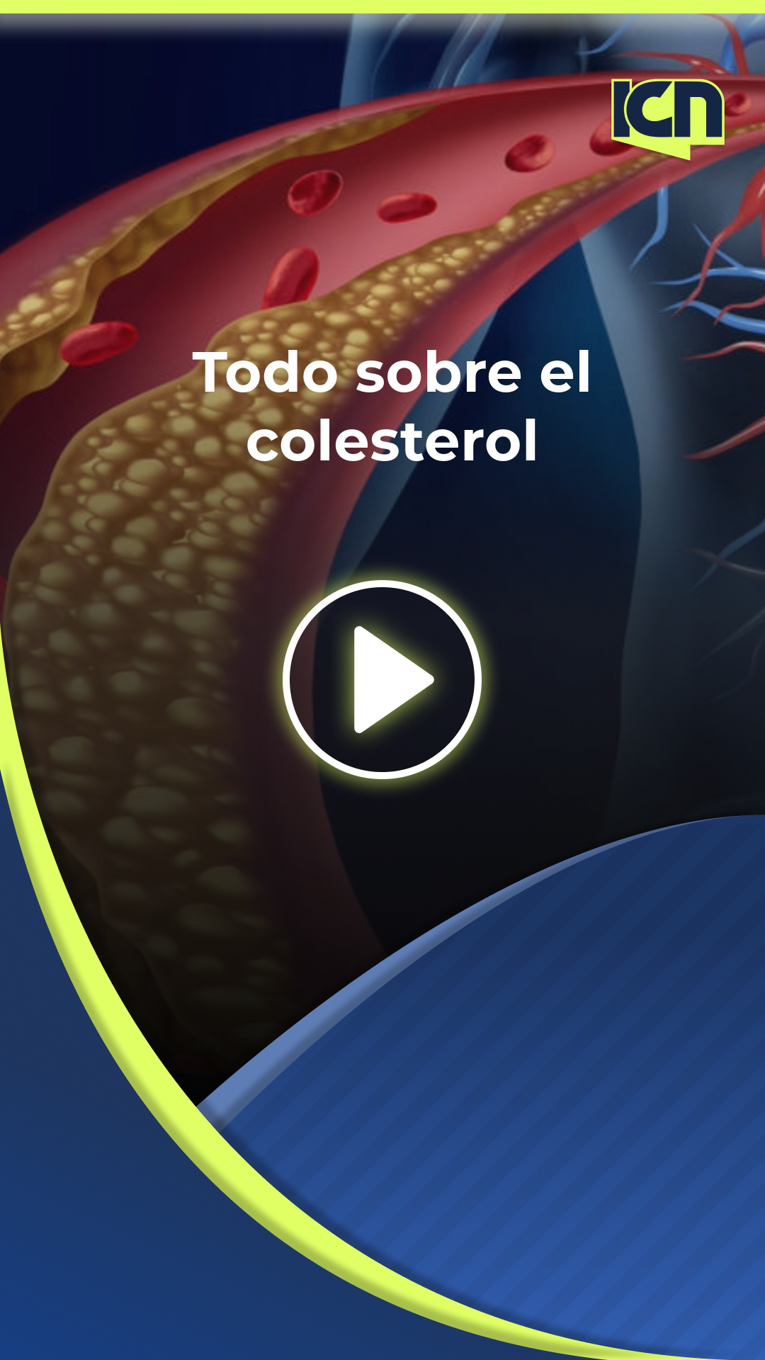 Colesterol: todo lo que debes saber 