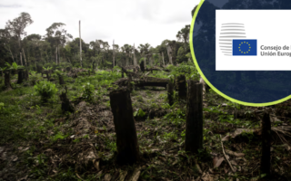 El Consejo de la UE aplaza un año la aplicación del reglamento sobre deforestación