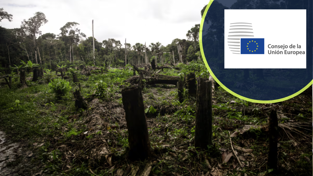 El Consejo de la UE aplaza un año la aplicación del reglamento sobre deforestación