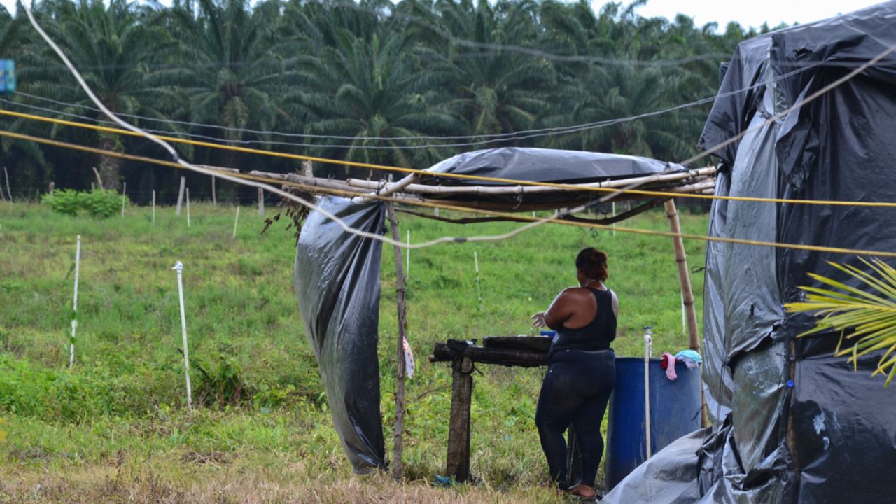 Violencia en el Aguán: expulsión de campesinos