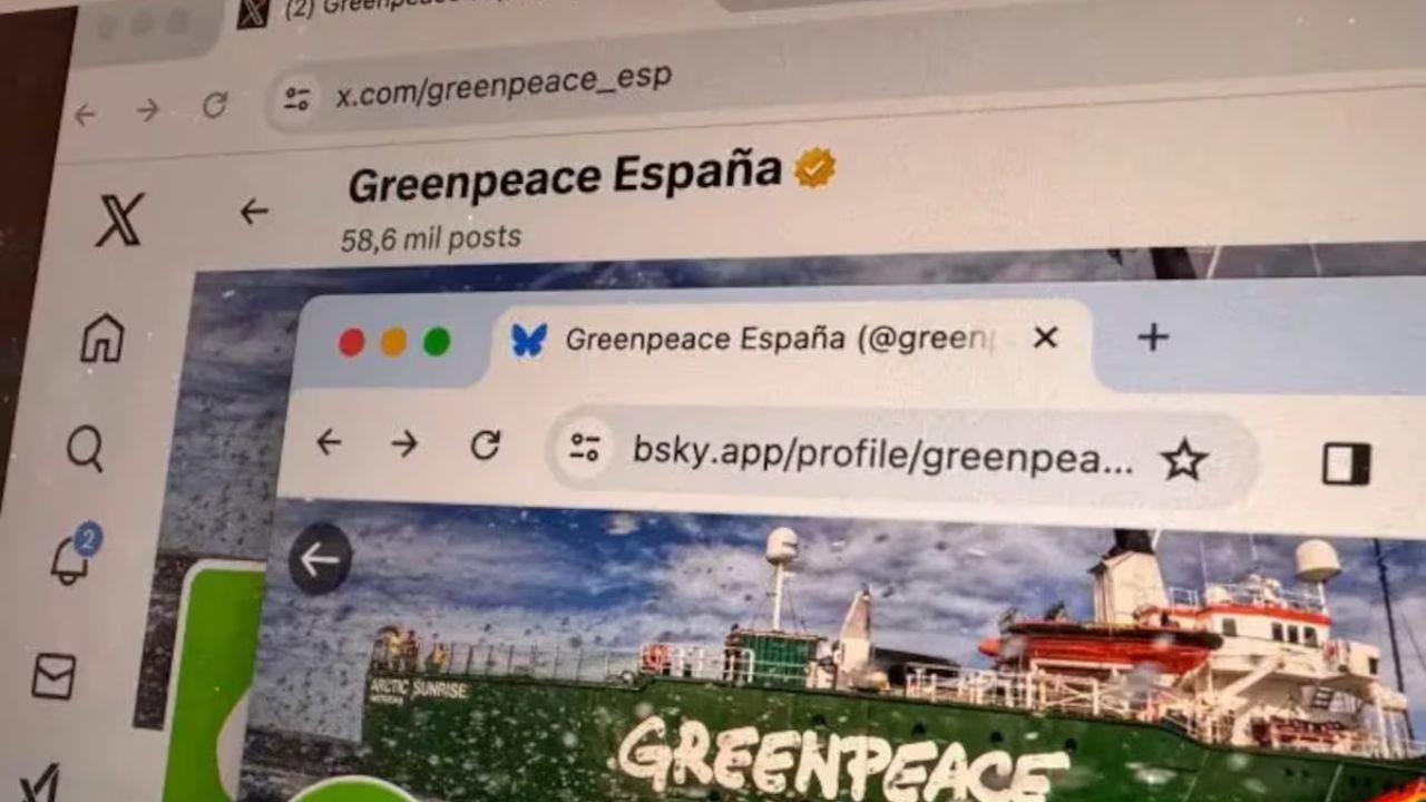 Greenpeace España lidera protesta contra X